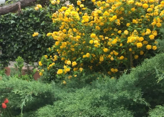 Luxury In The Heart 公寓