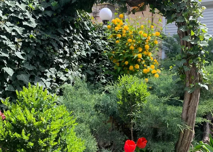 公寓 Luxury In The Heart